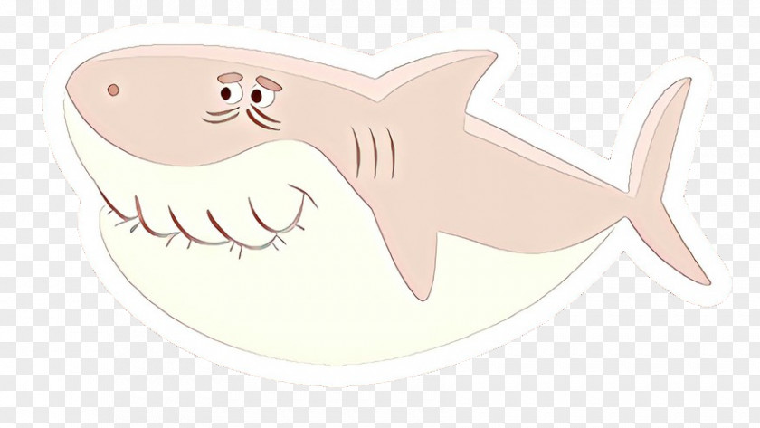 Carcharhiniformes Sticker Great White Shark Background PNG