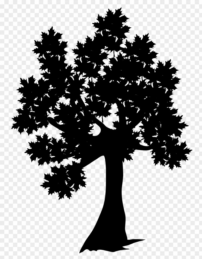 Fall Tree Clip Art Vector Graphics Illustration PNG