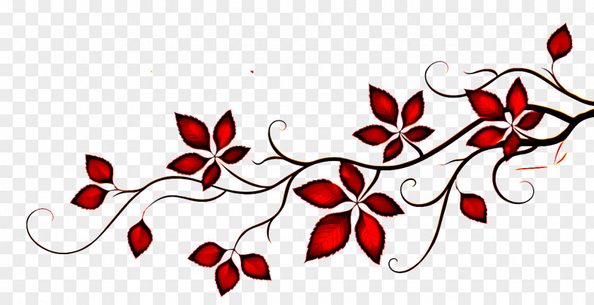 Floral Design Leaf PNG