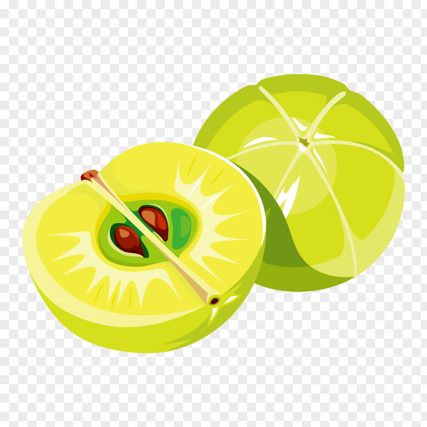 Green Apple Graphics PNG
