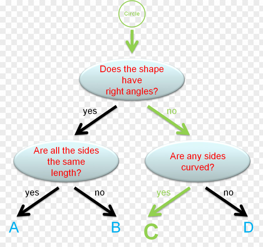 Tree 2D Diagram Graphic Design PNG