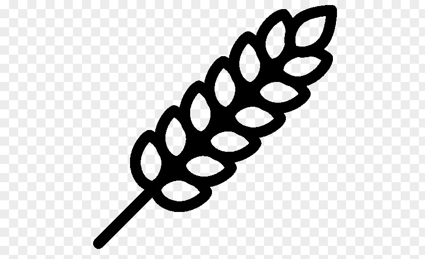 Wheat Spike PNG