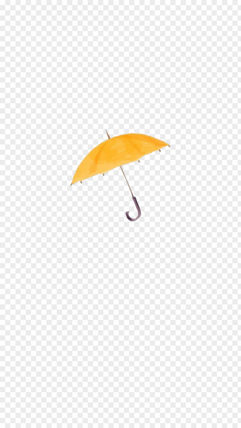 Cartoon Umbrella Caricature PNG