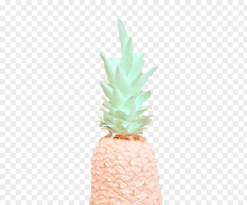 Pineapple Flowerpot PNG