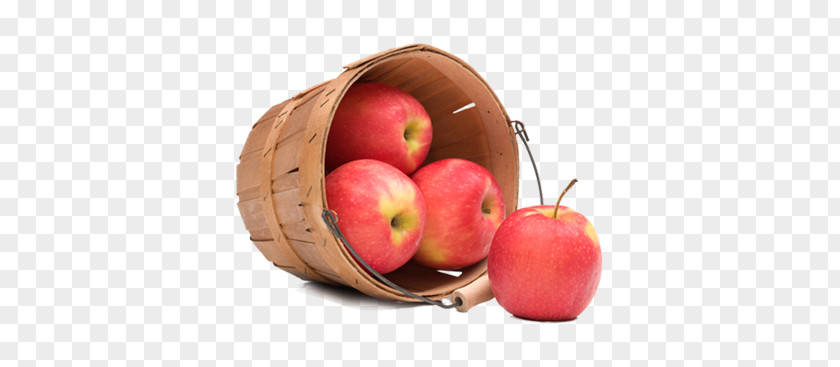 Apple Clip Art PNG