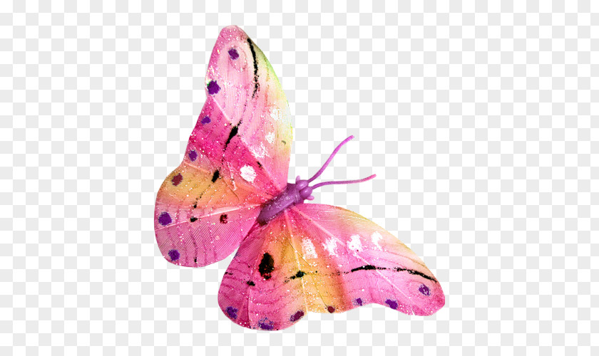 Butterfly Clip Art PNG