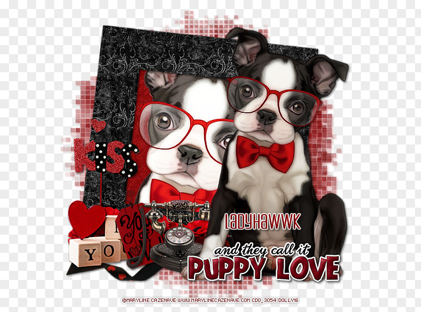 Puppy Boston Terrier French Bulldog Earring PNG