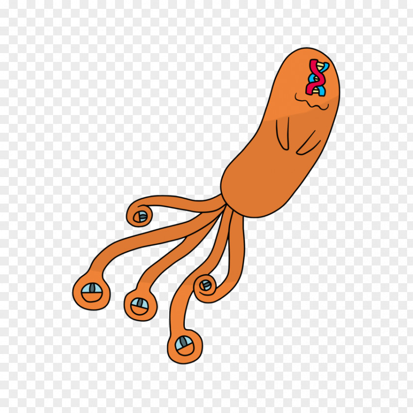 Thermometer Clipart Svg Octopus Clip Art Product Line Orange S.A. PNG