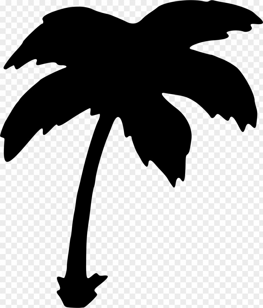 Tree Arecaceae Clip Art PNG