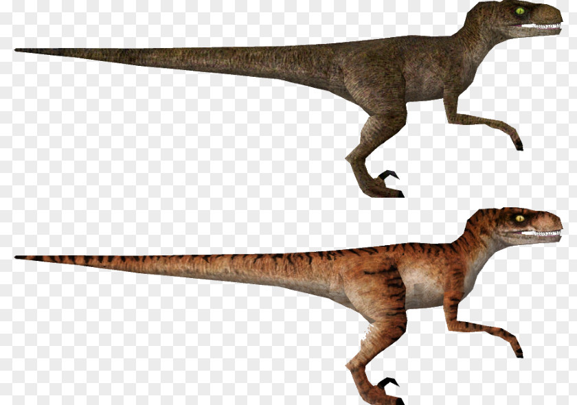 Jurassic Park Velociraptor The Lost World Park: Operation Genesis Tyrannosaurus Apatosaurus PNG