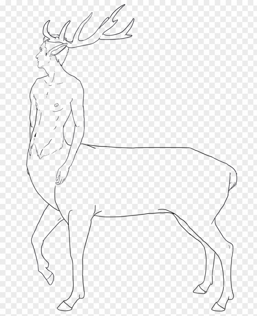 Reindeer Line Art Drawing Horse PNG