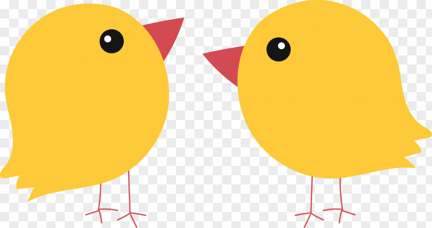 Cartoon Chick Chicken Illustration PNG