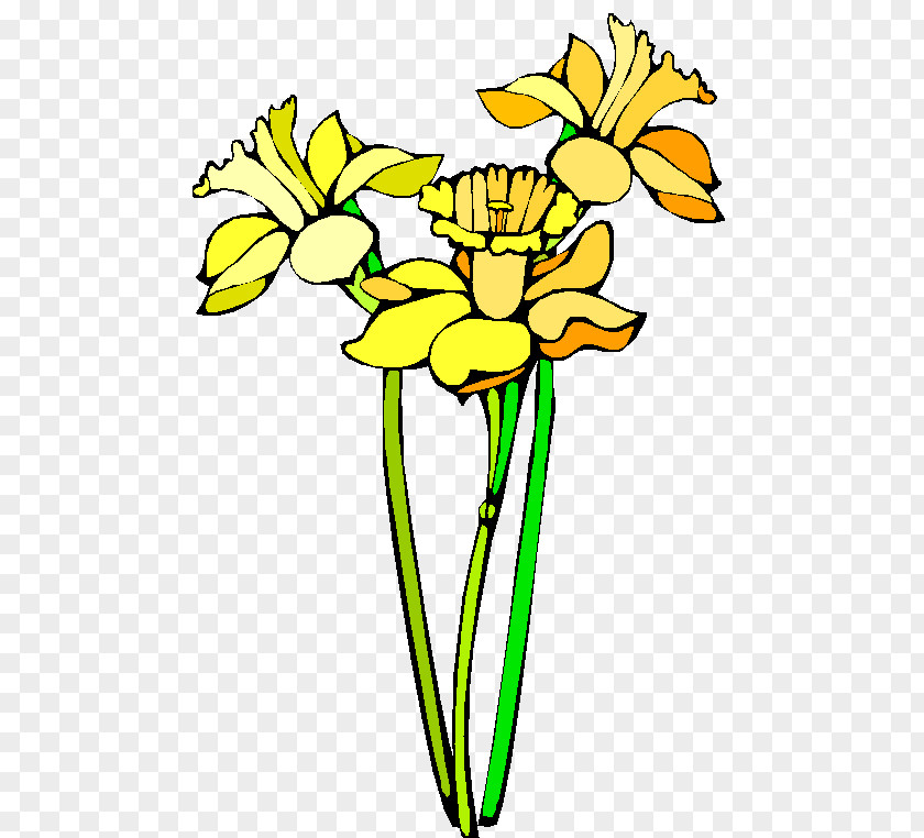 Flower Yellow Cut Flowers Plant Stem PNG