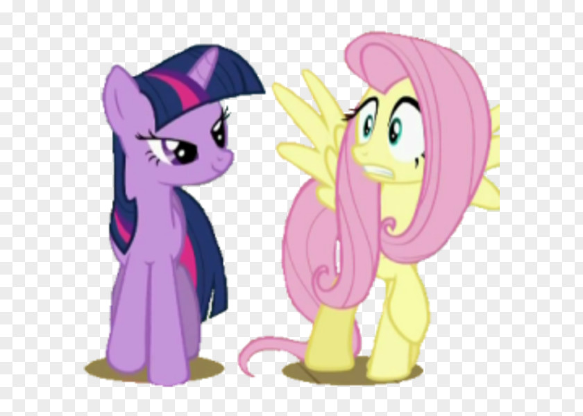 Horse Pony Fluttershy Pinkie Pie Rarity Twilight Sparkle PNG