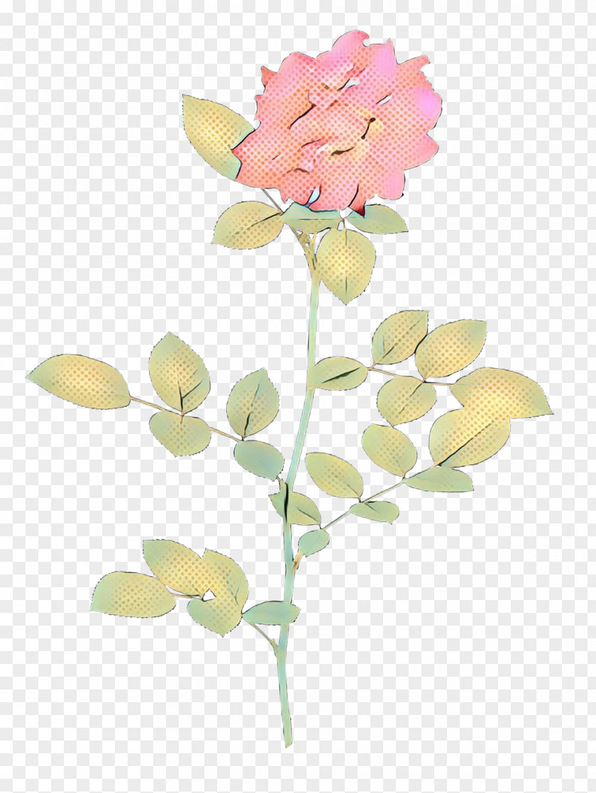 Hydrangea Orchid Pink Flower Cartoon PNG