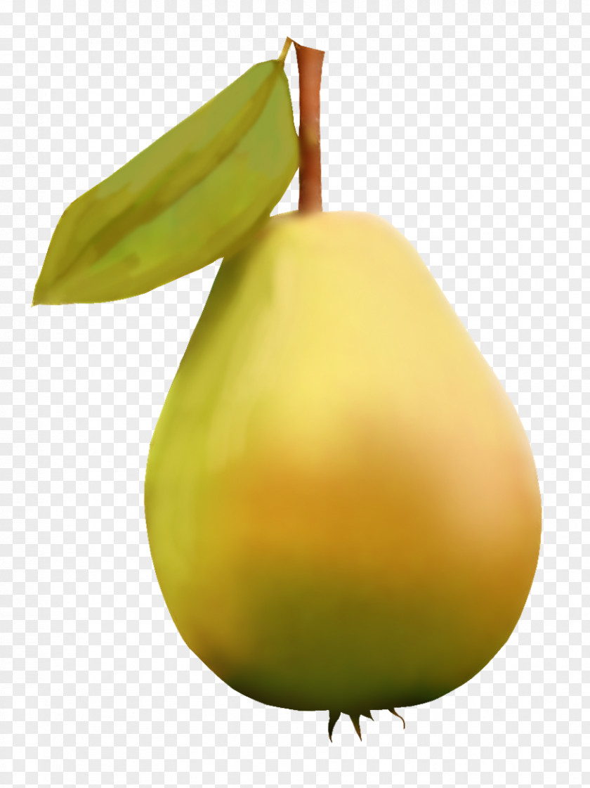 Orange Pears Pear Auglis Fruit Clip Art PNG