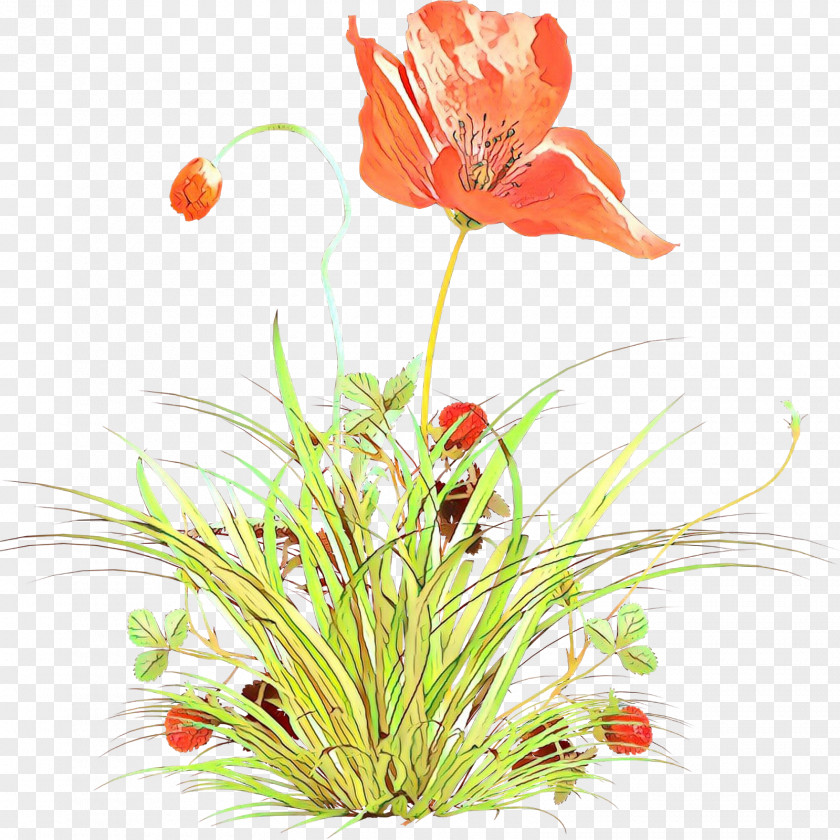 Plant Stem Corn Poppy Artificial Flower PNG