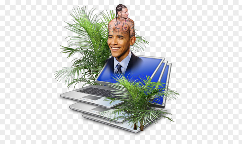 Vesace Barack Obama, A Biography For Children Tree PNG