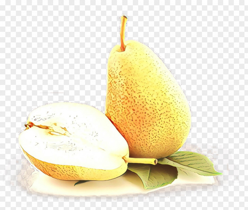 Accessory Fruit Muskmelon Tree Of Life PNG