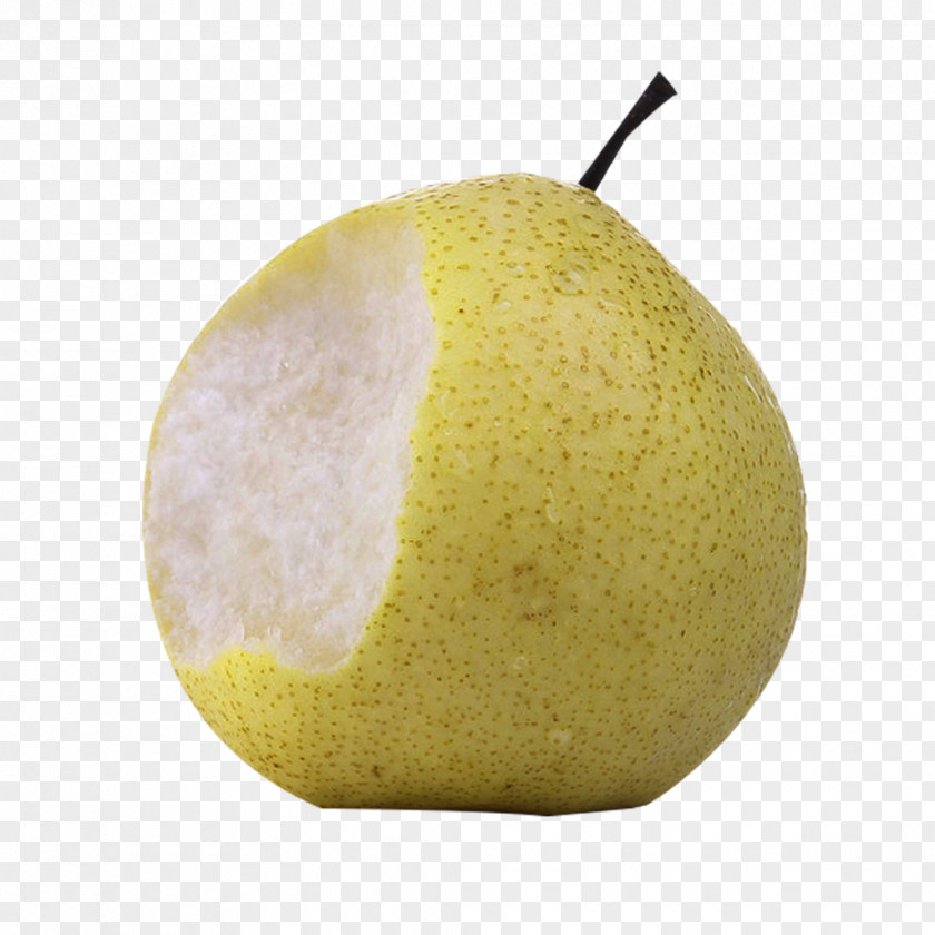 Bite Of The Pear Picture Material Asian Citron Google Images PNG