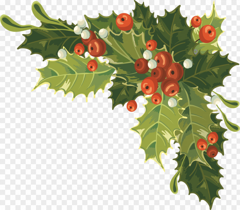 Blueberries Christmas Royalty-free Clip Art PNG