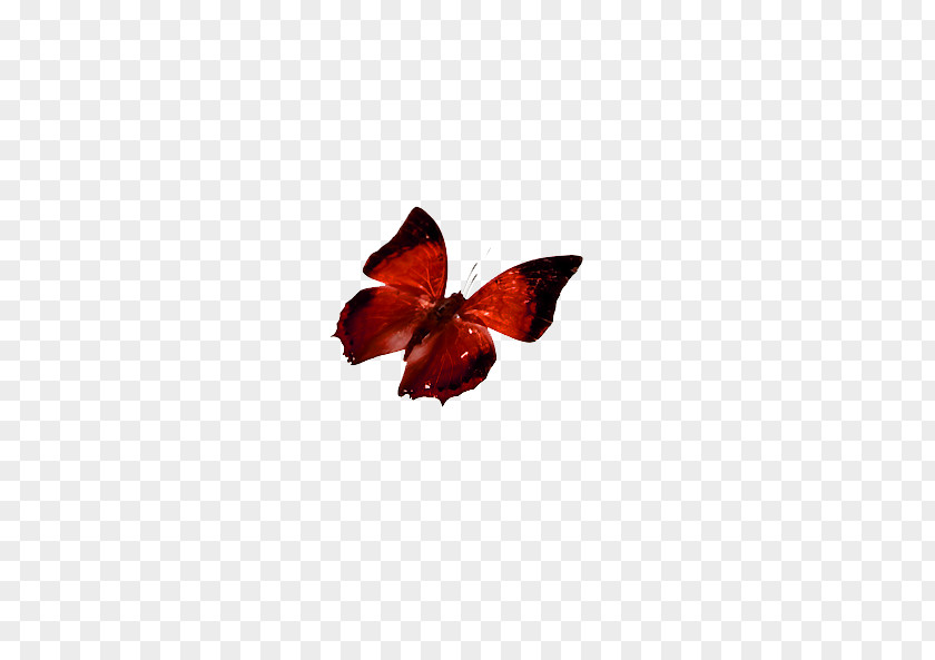 Crimson Butterfly Red Computer File PNG