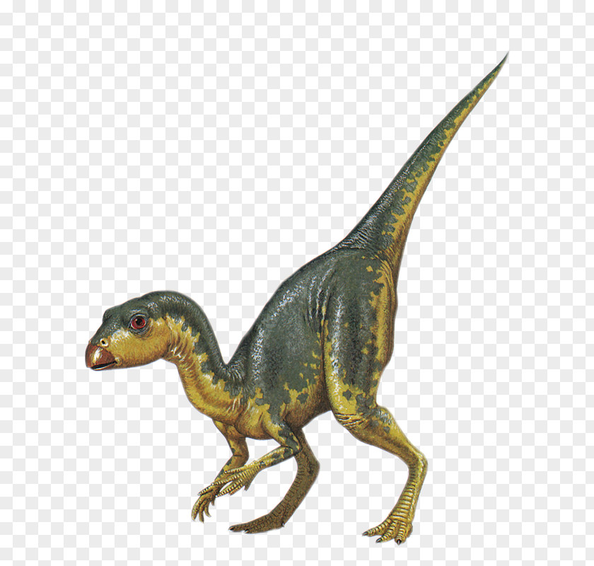 Dinosaur Jurassic Park: The Game Clip Art Image PNG
