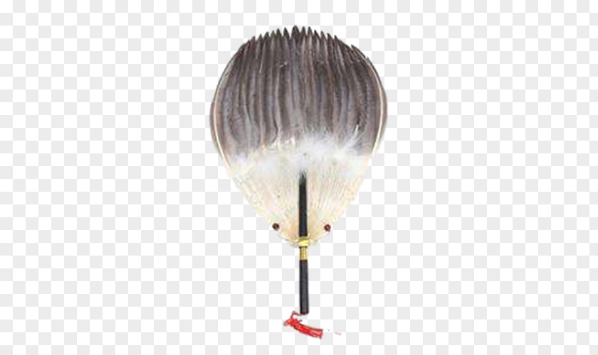 Fan Hand Feather PNG