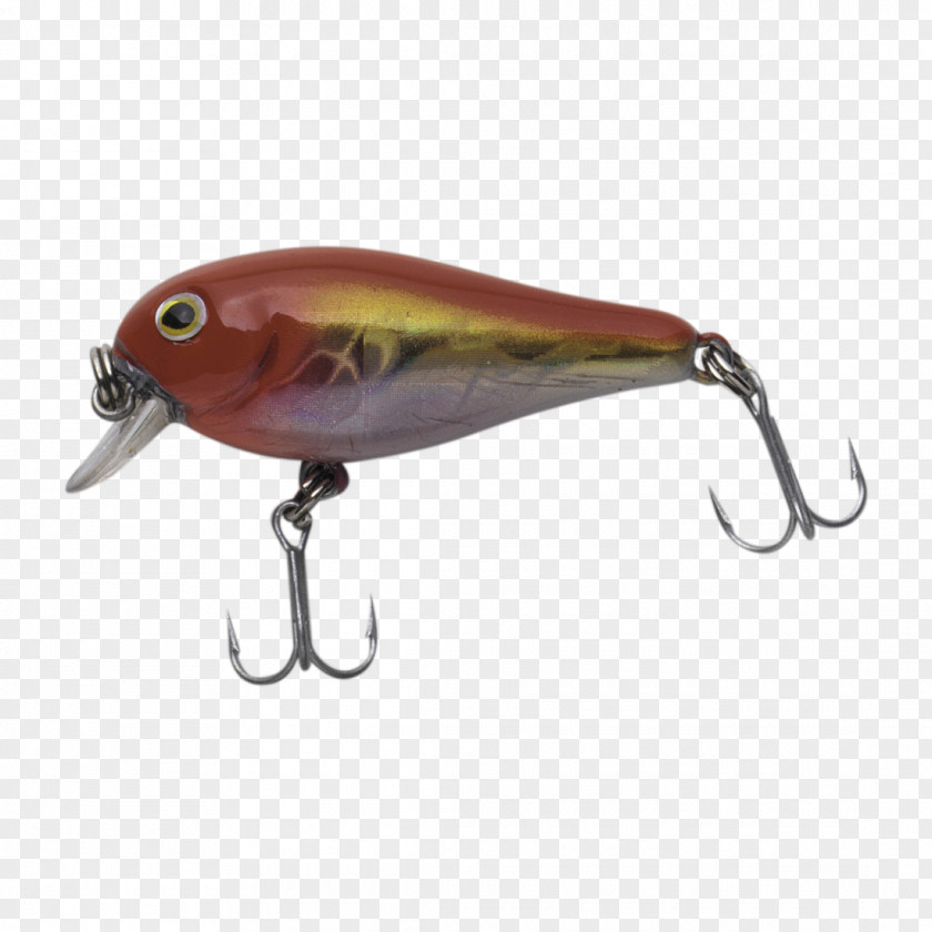 Goldfish Plug Fishing Baits & Lures PNG