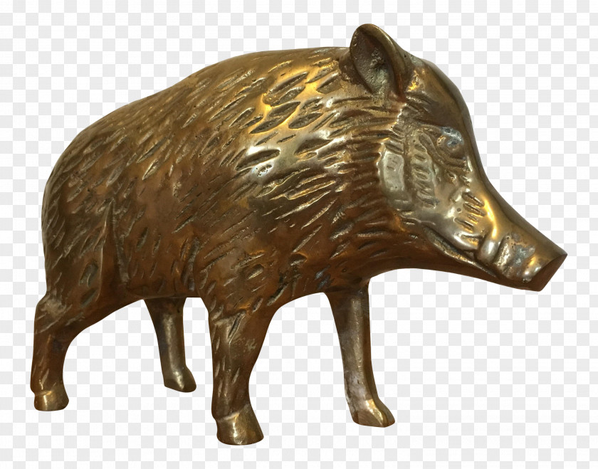 Pig Bronze Brass Snout Terrestrial Animal PNG