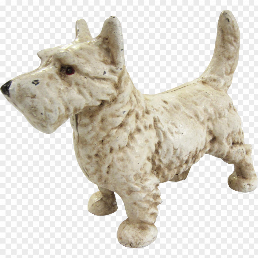 West Highland Terrier White Scottish Companion Dog Breed PNG