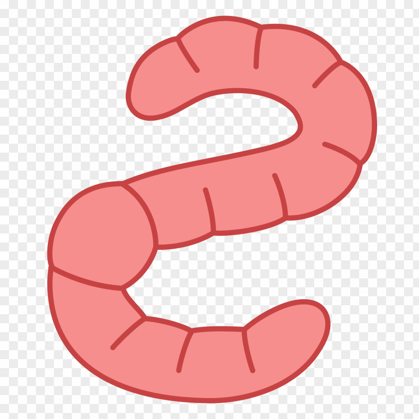 Worm Earthworm Clip Art PNG