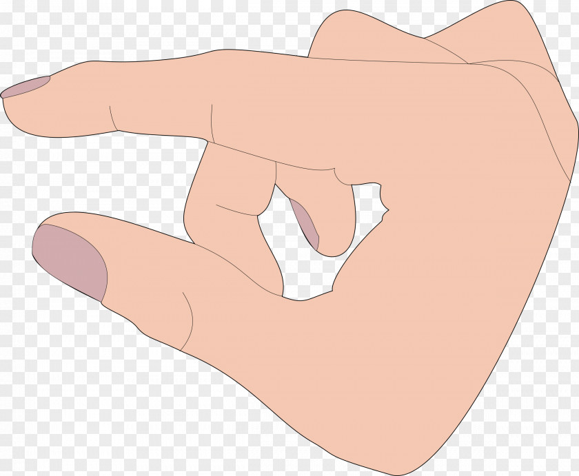 Arm Index Finger Thumb Hand PNG