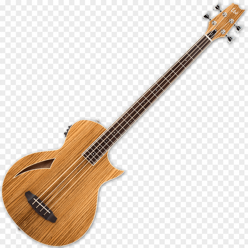 Bass Guitar Ukulele G&L Musical Instruments Double PNG