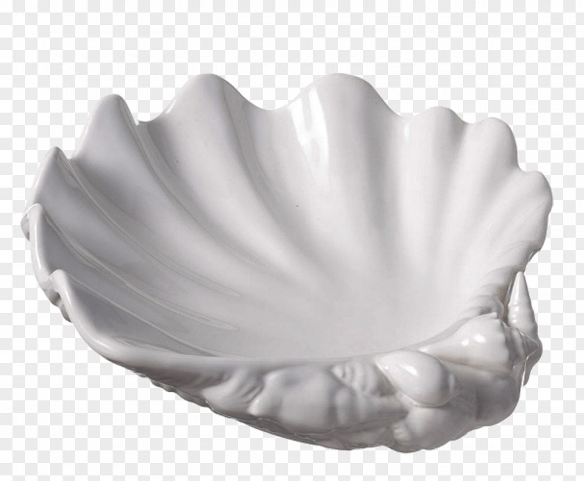 Bread Pan Seashell Tableware PNG