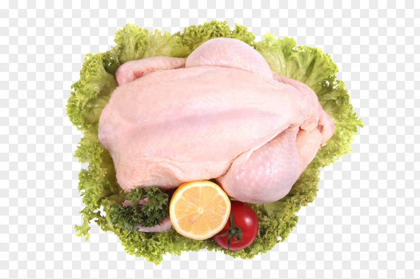 Chicken Meat Ham PNG