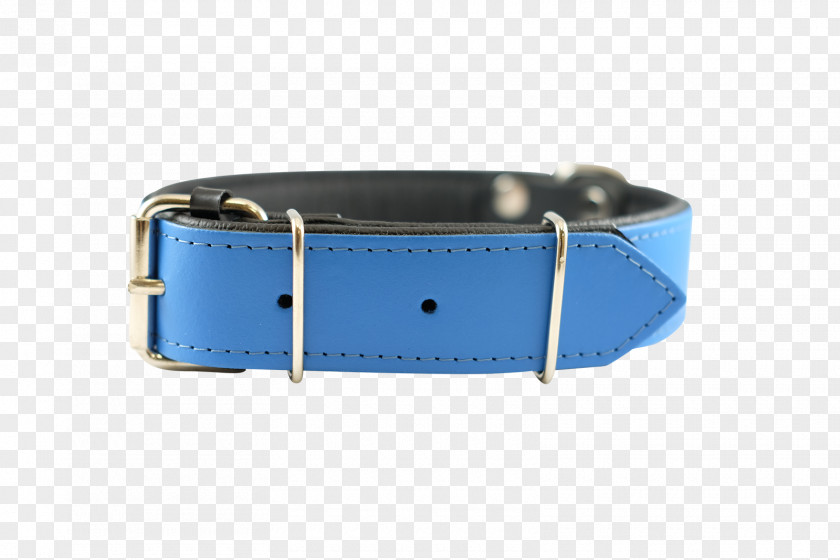 Dog Collar Watch Strap PNG