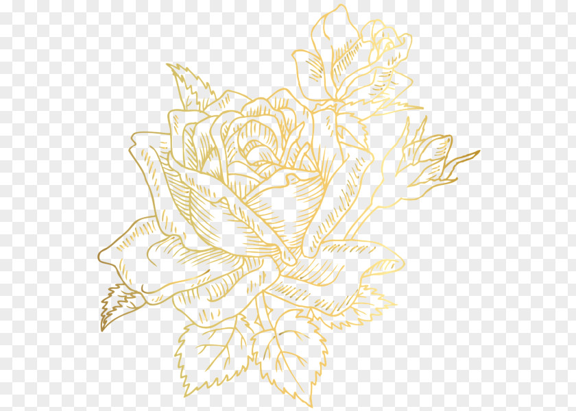 Golden Pattern Borders And Frames Flower Rose Petal Clip Art PNG