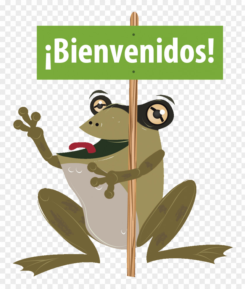 Sendero Symbol Natural Environment Organization Tree Frog Education Fauna PNG