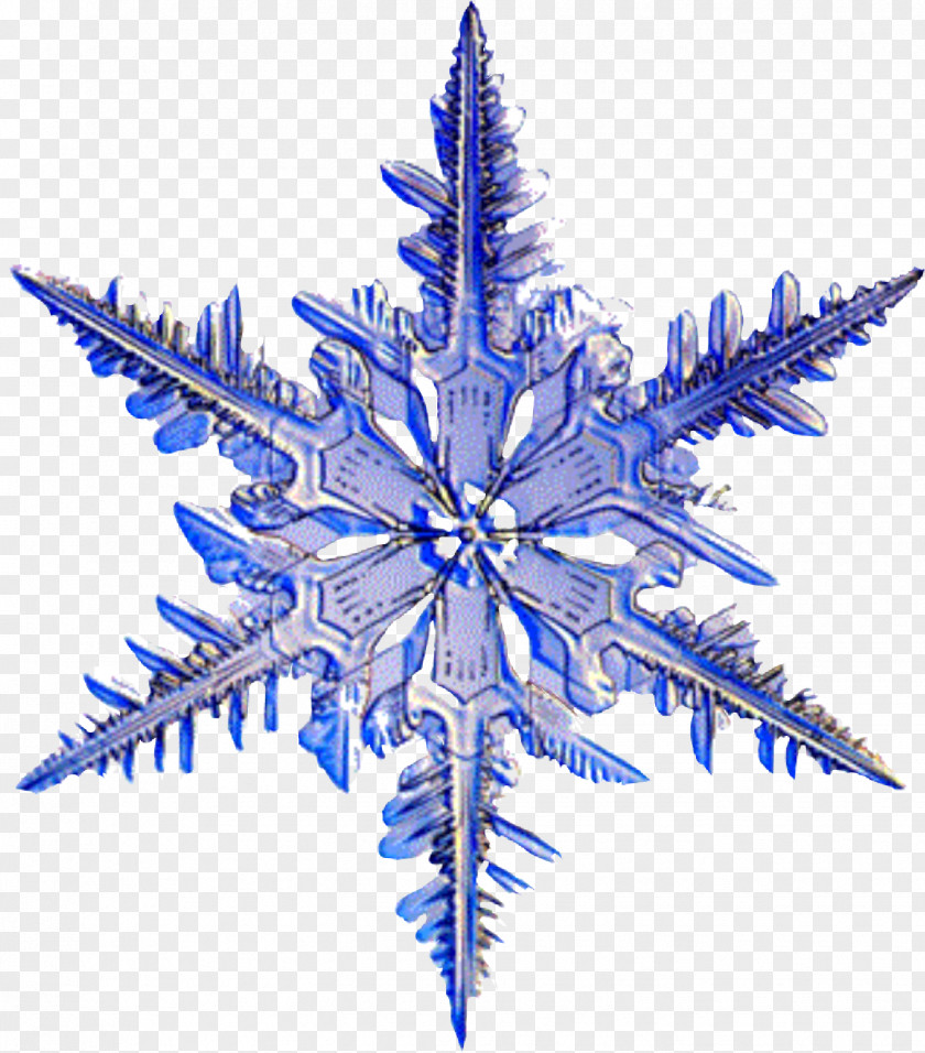 Snowflake Animation Christmas New Year Snowman PNG