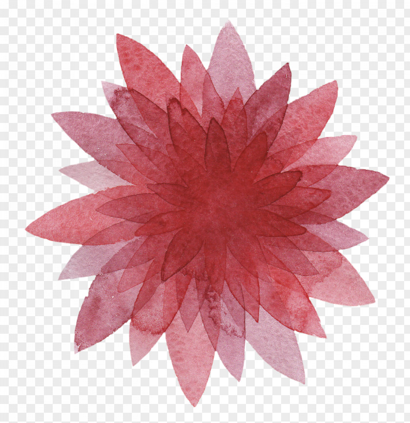 Watercolour Flower Magenta Purple Clip Art PNG