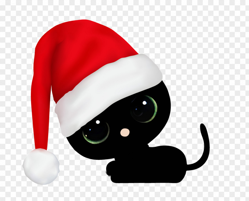 Cat Dog Christmas Hats Santa Claus Whiskers Mammal PNG