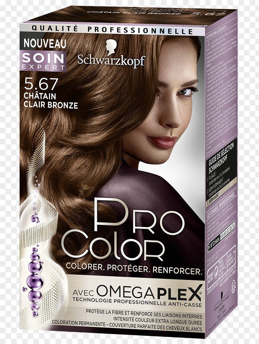 Coloured Powder Chestnut Schwarzkopf Color Noisette Hair Permanents & Straighteners PNG