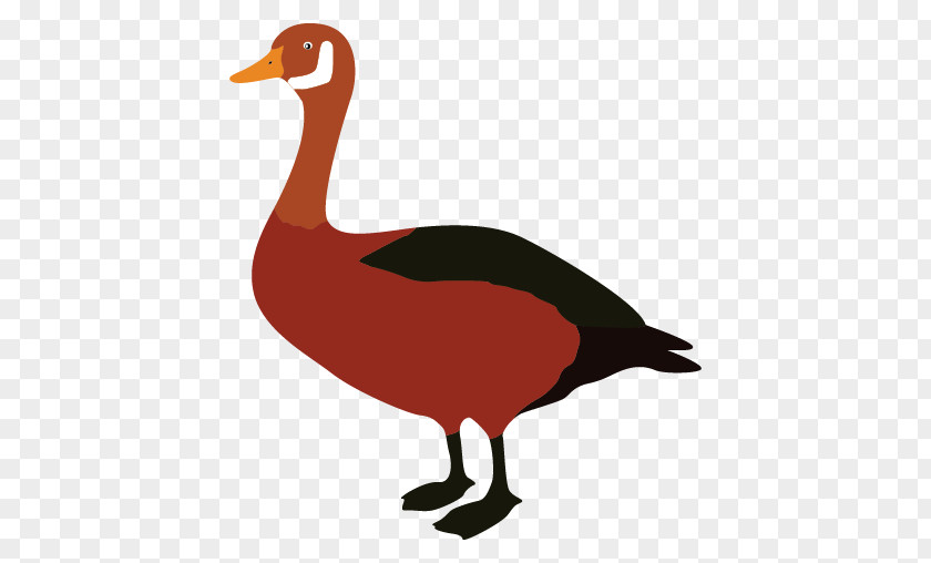 Duck Goose Clip Art PNG