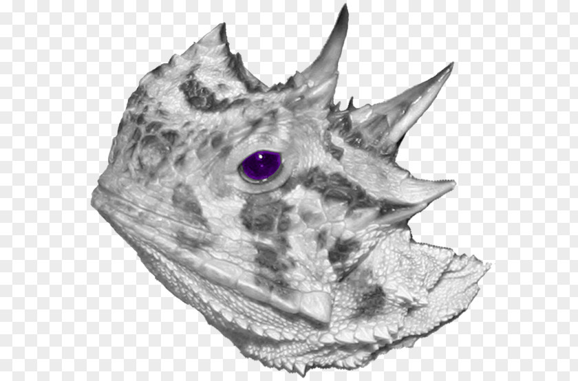 Horned Jaw Fish PNG