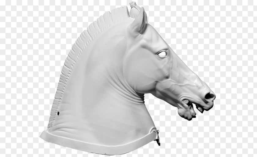 Horse Halter 3D Computer Graphics Wavefront .obj File Scanner PNG