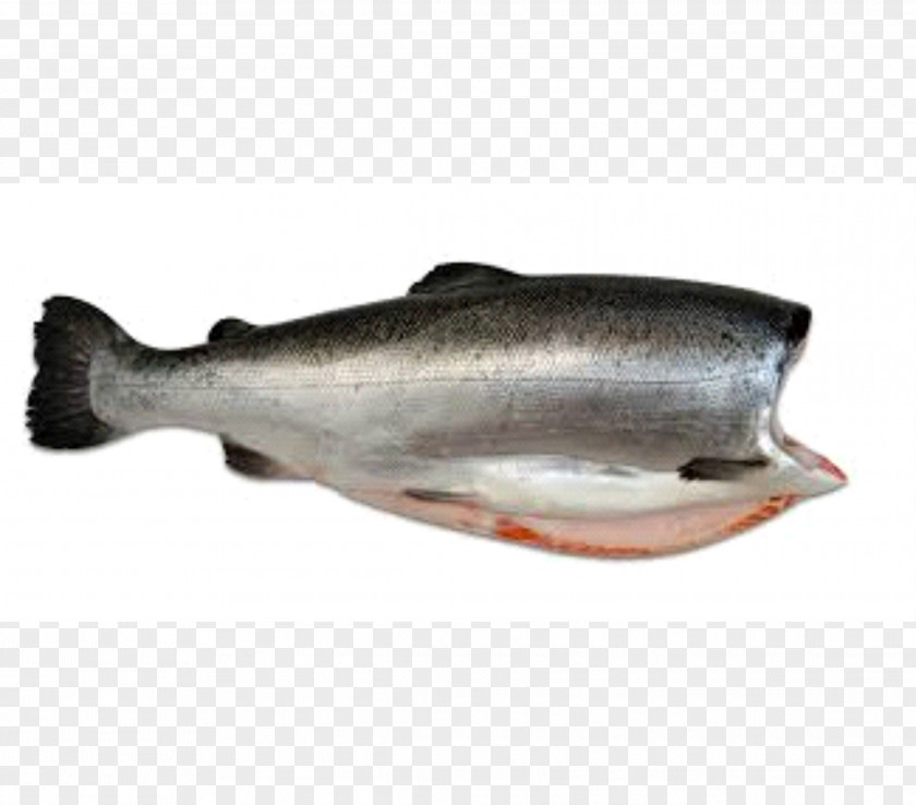 SALMON Coho Salmon Oily Fish Seafood PNG