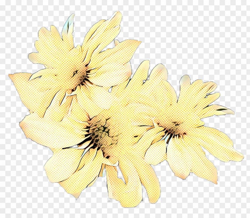 Chrysanthemum Cut Flowers Floral Design Flower Bouquet PNG