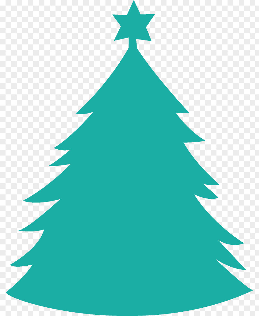 Conifer Evergreen Christmas Tree PNG