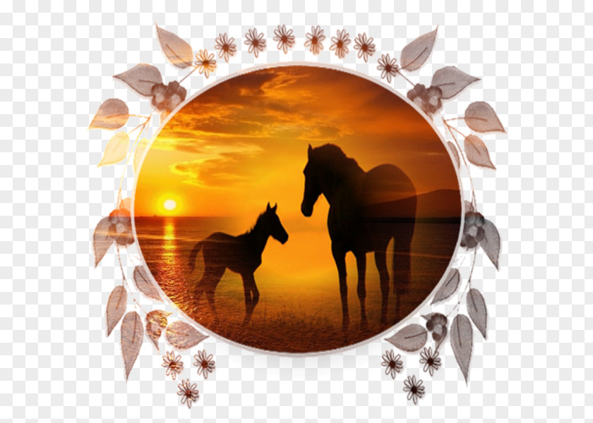 Mustang Animaatio Desktop Wallpaper PNG
